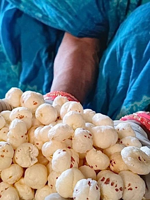 Premium Extra Large Makhana